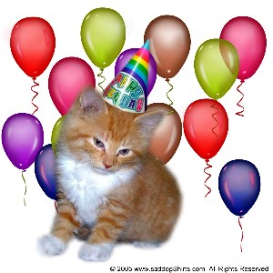 ../Images/birthday cat2.jpg